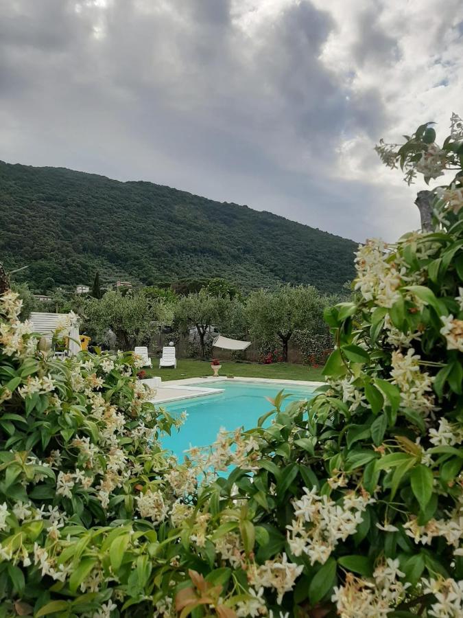 Alloggio Turistico L'Ulivo Monte San Biagio Exterior foto